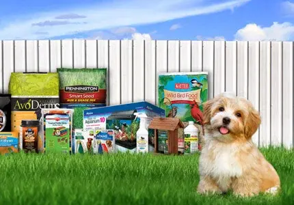 A dog in the foreground standing on grass with various Central products propped against a white fence in the background.